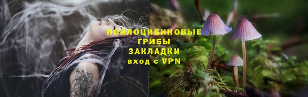 ALPHA-PVP Медвежьегорск