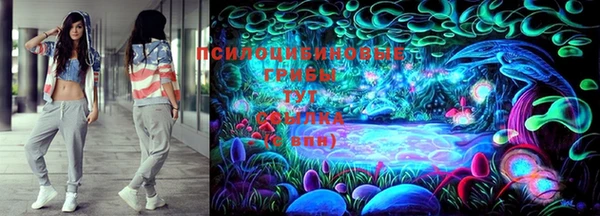 тгк Алексеевка