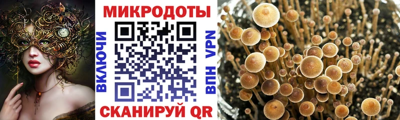 Псилоцибиновые грибы Magic Shrooms Елизаветинская